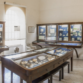 cover Museo del Centro Caprense Ignazio Cerio